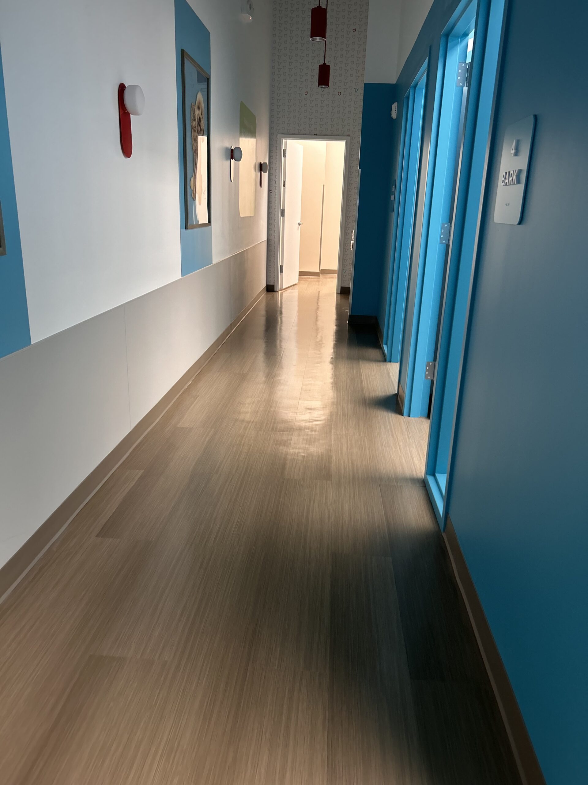 78043277584__19066AFF-E65D-4D13-92CF-2D4C6FE22C95